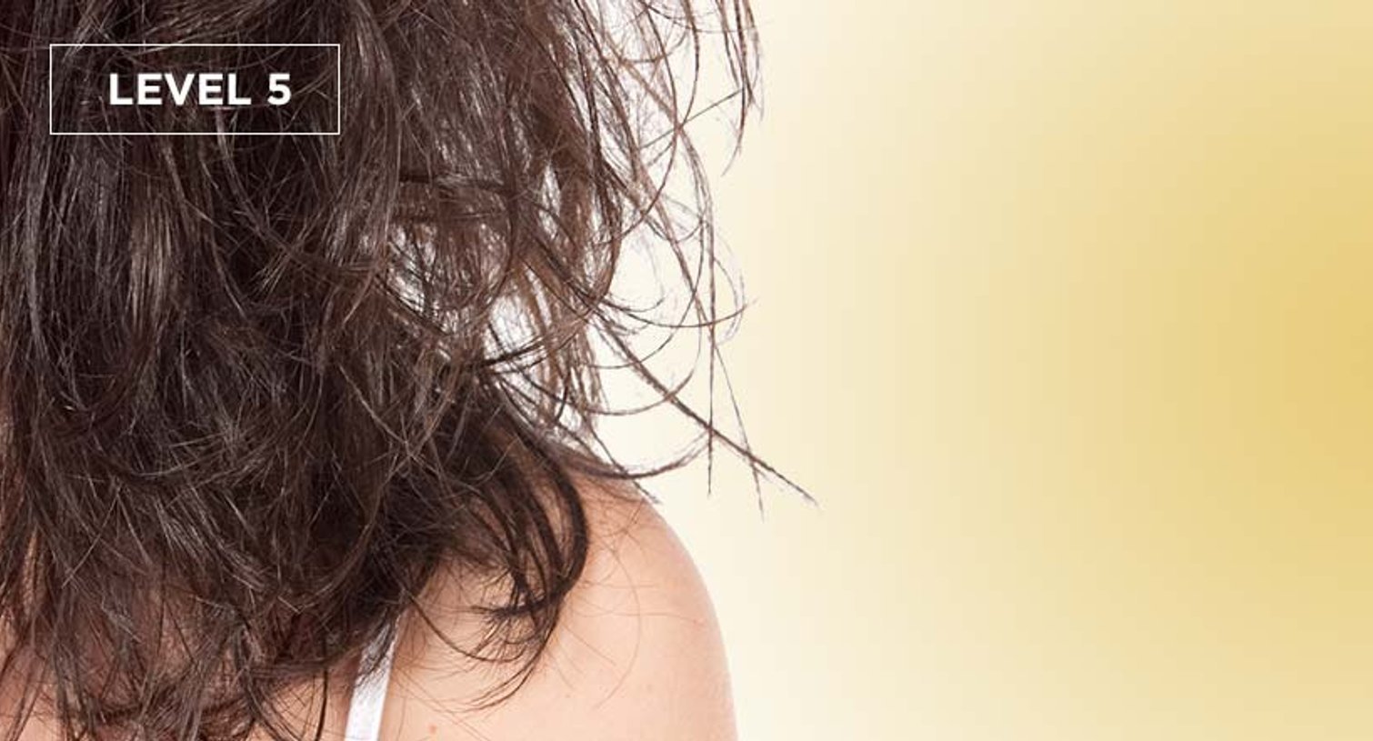 Loreal Paris BMAG Slideshow How Damaged Is Your Hair SLIDE 7 D