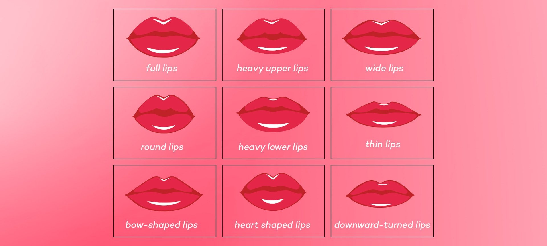 Types of Lip Shapes  Lip shapes, Cupids bow lips, Types of lips shape