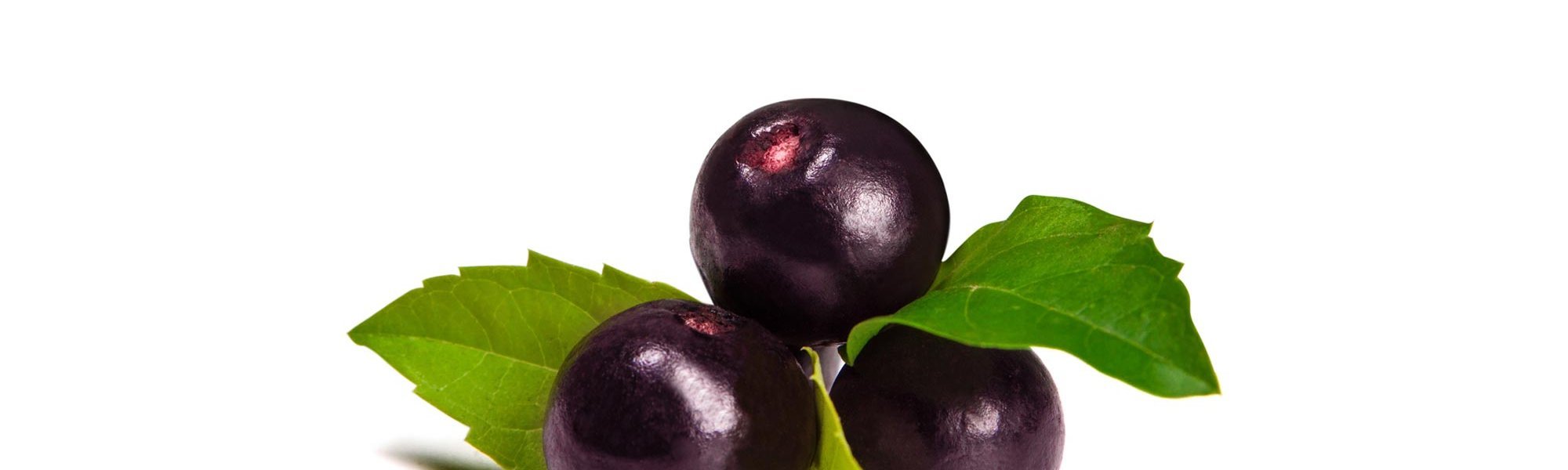 Loreal Paris Makeup Acai Berries 2000x900