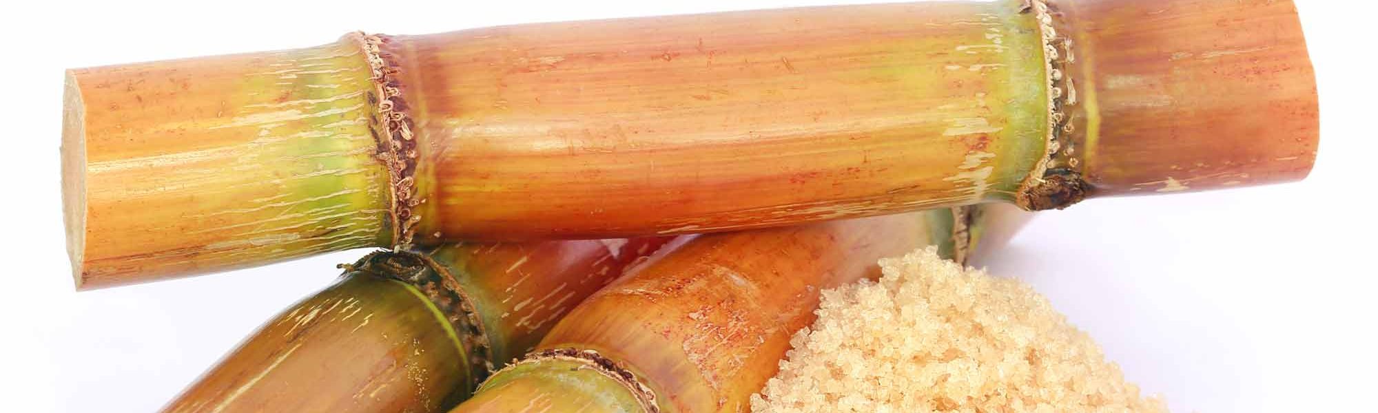 Loreal Paris Makeup Bamboo 2000x900